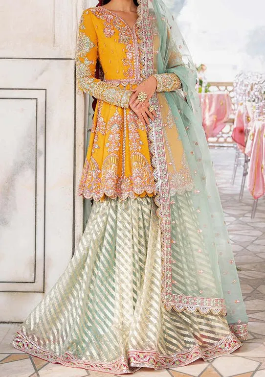 Akbar Aslam Dilaab Pakistani Luxury Net Dress