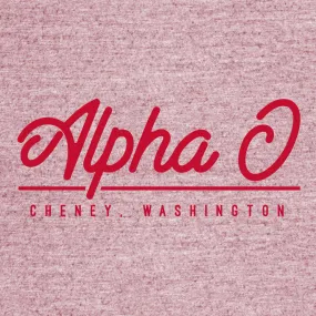 Alpha Omicron Pi Retro PR Design