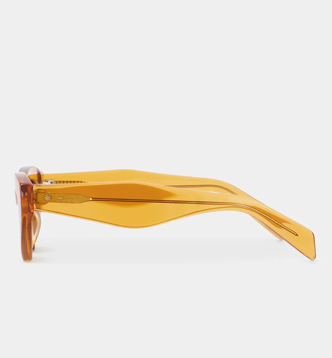 Cosmos Keeper Acetate Sunglasses | Burnt Orange with Smokey Brown Lens