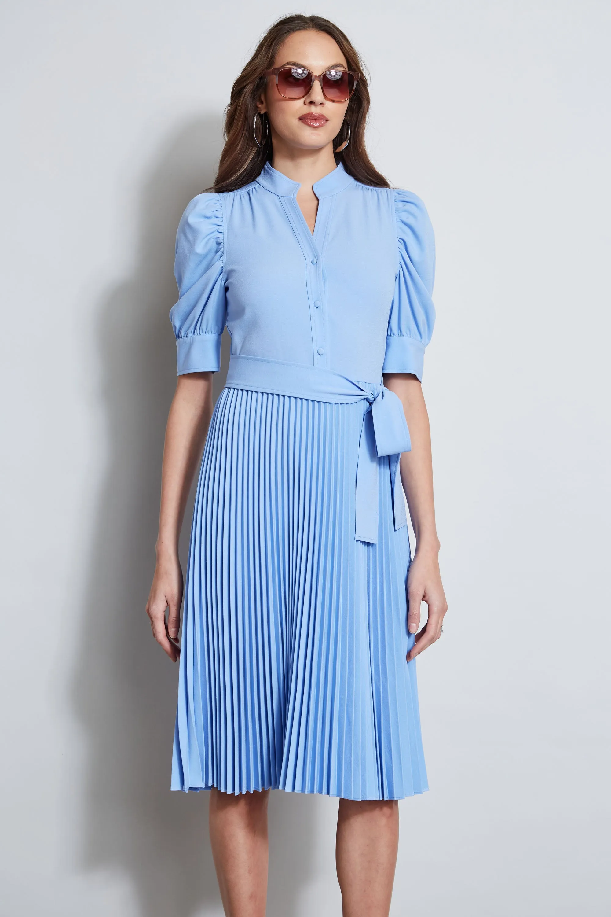 Pleated Ruched Sleeve Dress